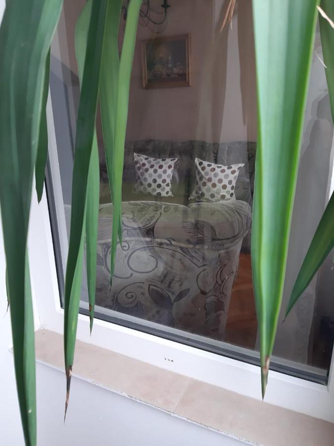 Pelican Proxy Apartment Oradea Luaran gambar